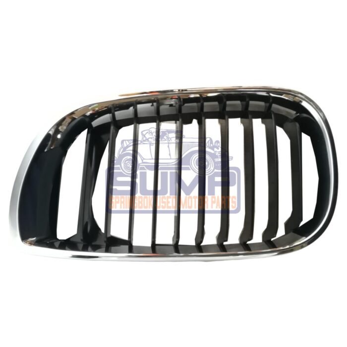 Grill Bmw E46 01 - 04 Lh