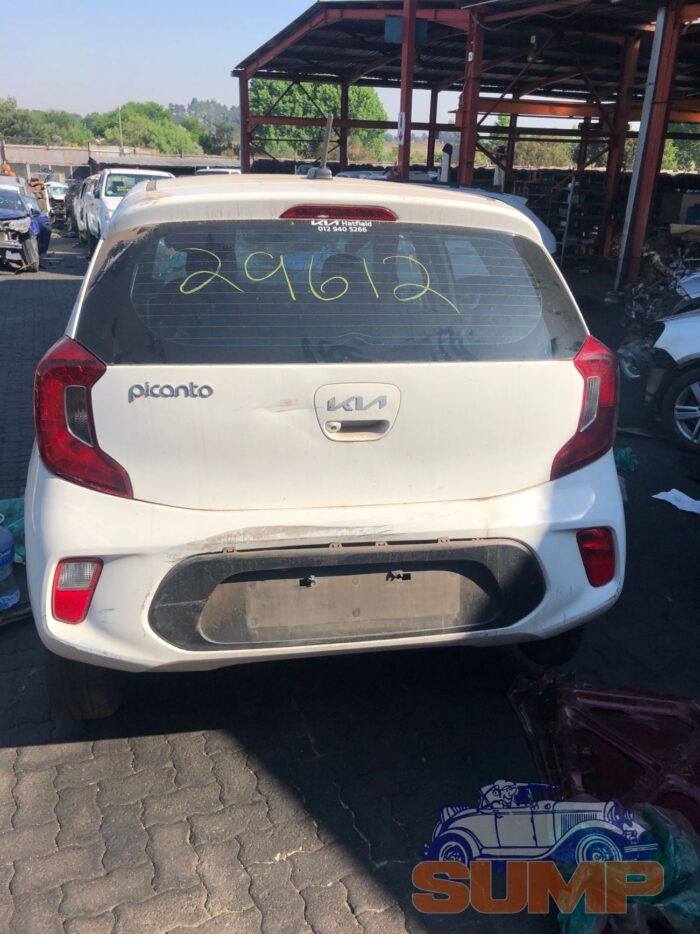 KIA , PICANTO 1 . 0 STREET , WHITE , 2022 ( 29612 ) - Image 3