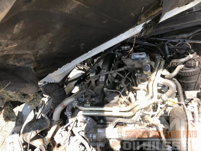 TOYOTA , HILUX 2 . 8 GD - 6 RAIDER 4 X 4 A / T P / U D / C , WHITE ( 30813 ) - Image 8